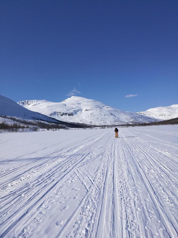 Lapphaugen Turiststasjon Villa Tennevoll Buitenkant foto