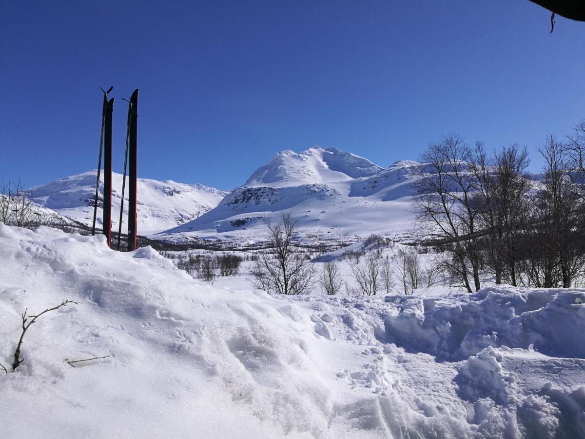 Lapphaugen Turiststasjon Villa Tennevoll Buitenkant foto