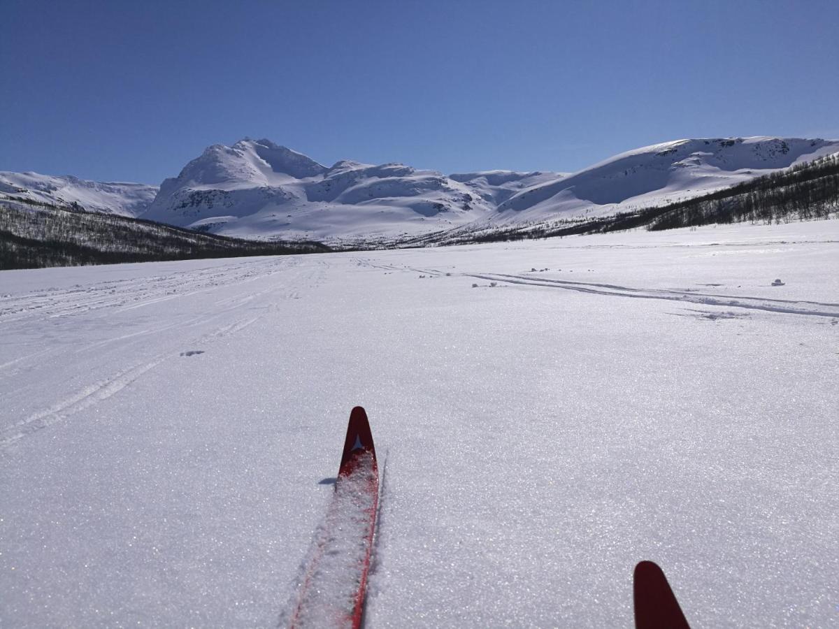 Lapphaugen Turiststasjon Villa Tennevoll Buitenkant foto