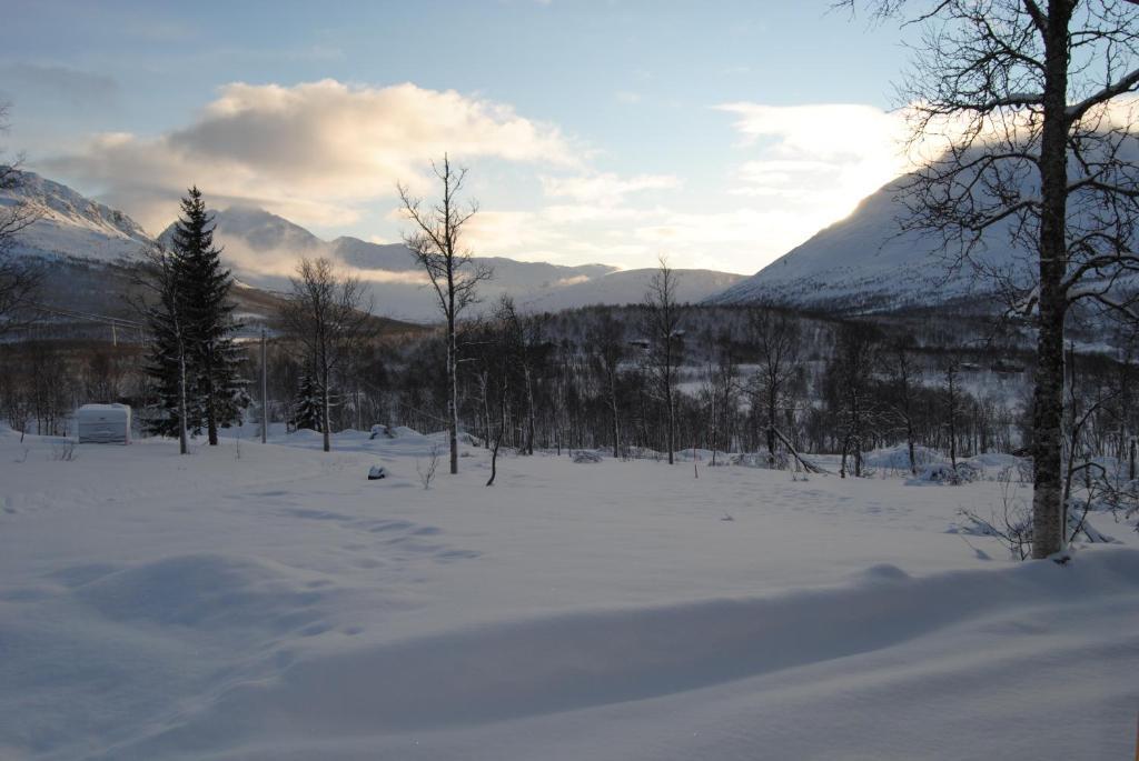 Lapphaugen Turiststasjon Villa Tennevoll Kamer foto