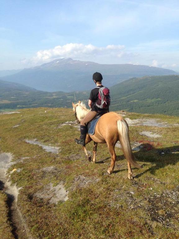 Lapphaugen Turiststasjon Villa Tennevoll Buitenkant foto