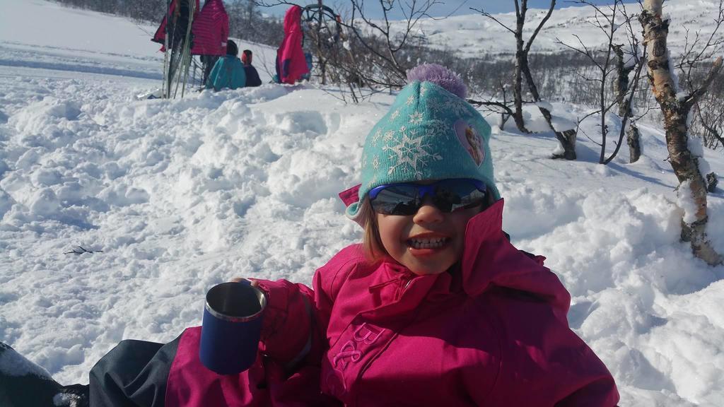 Lapphaugen Turiststasjon Villa Tennevoll Buitenkant foto