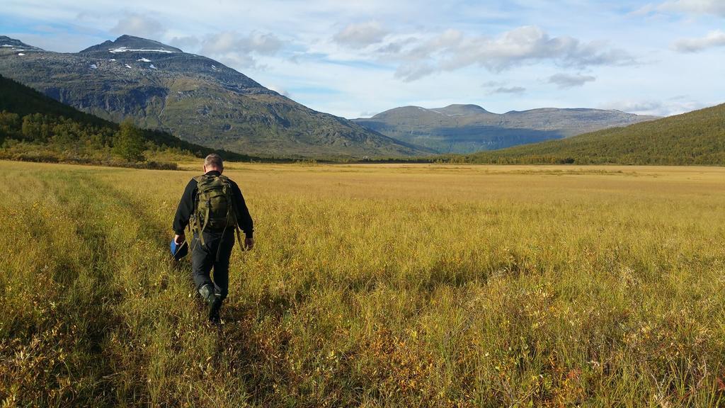 Lapphaugen Turiststasjon Villa Tennevoll Buitenkant foto